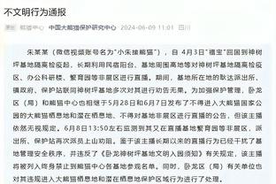 斯坦科维奇：恰20&姆希塔良是国米大脑 劳图组合有实力速度大局观